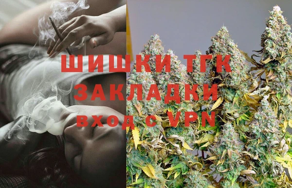 сатива Протвино