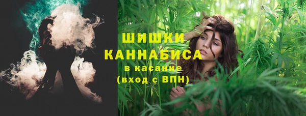 сатива Протвино