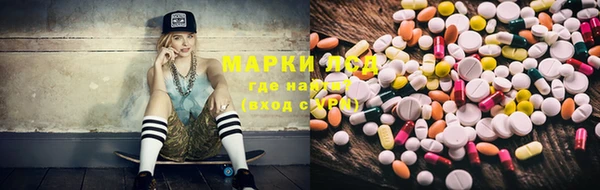 сатива Протвино