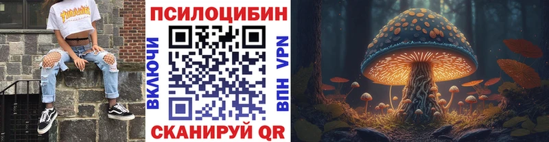 Псилоцибиновые грибы прущие грибы  Багратионовск 